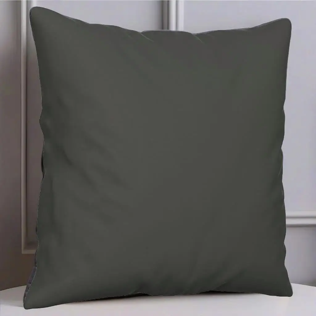 

2 Pack Dark Gray Throw Pillows 15.7x15.7 Soft Microfiber Cushion Covers