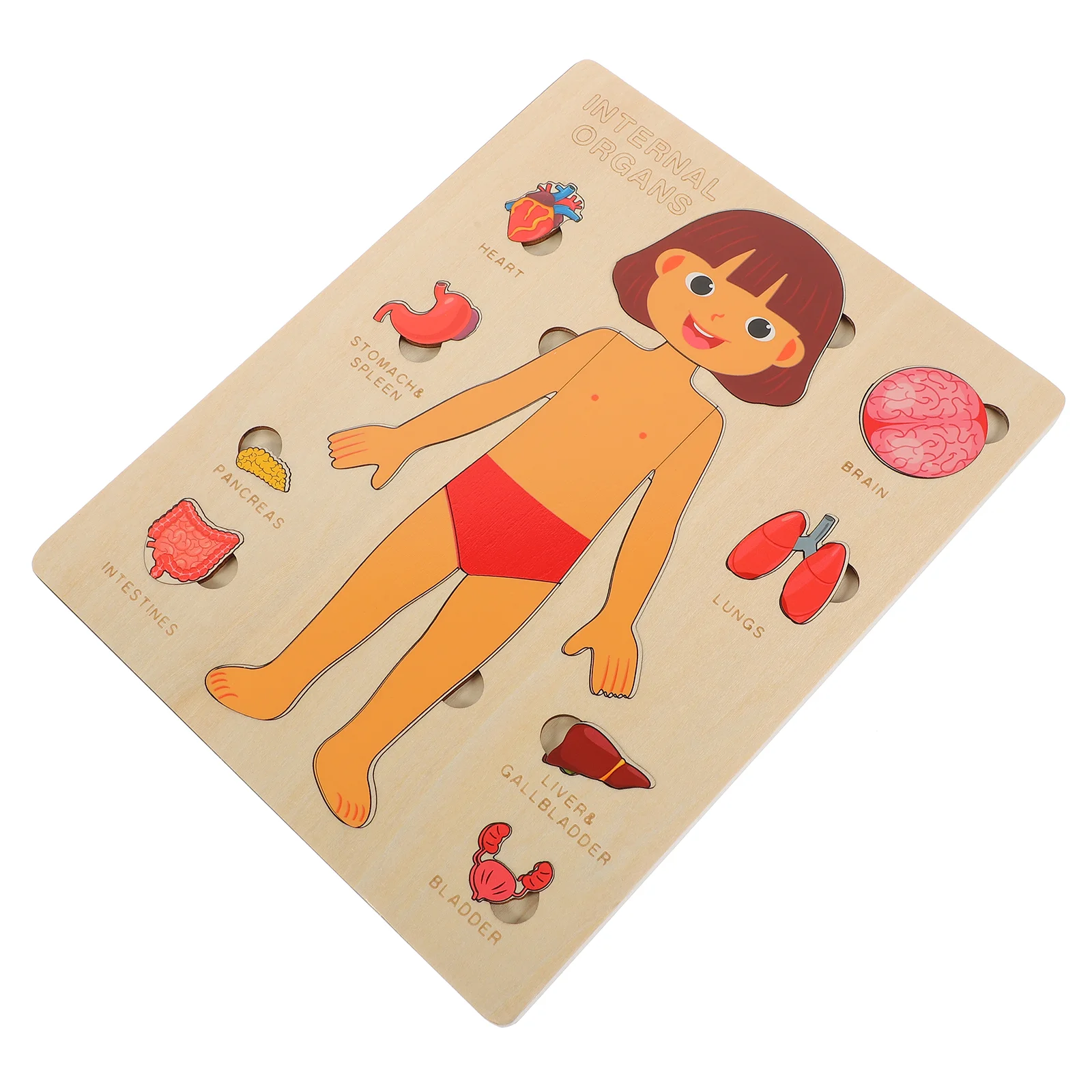 Human Body Structure Puzzle Toys Childhood Teaching Aids Early Education Tool Wood Children Organs Cognitive Educational Wooden