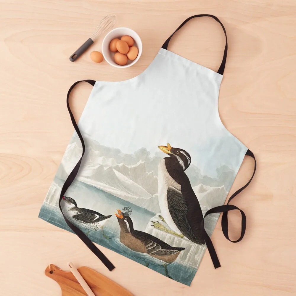 

John James Audubon - Auks and Guillemots (crop w/added background) Apron Household Items Kitchen Home Utensils Apron
