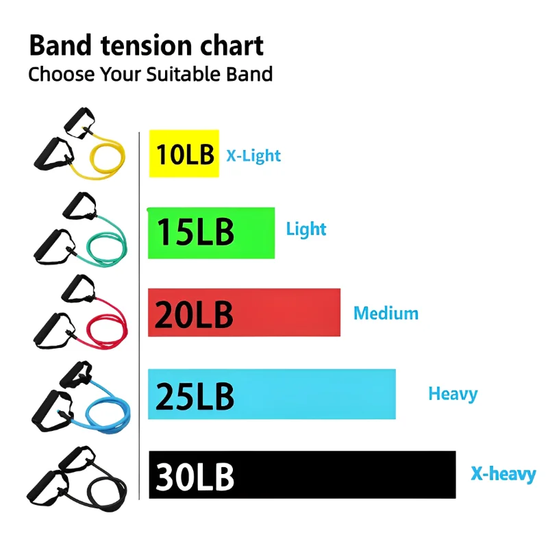 02/10/2018 Bandes avec Foy Exercise Workout pour hommes et femmes, équipement de musculation à domicile, 5 bandes de tube recyclable, ULcôtelée