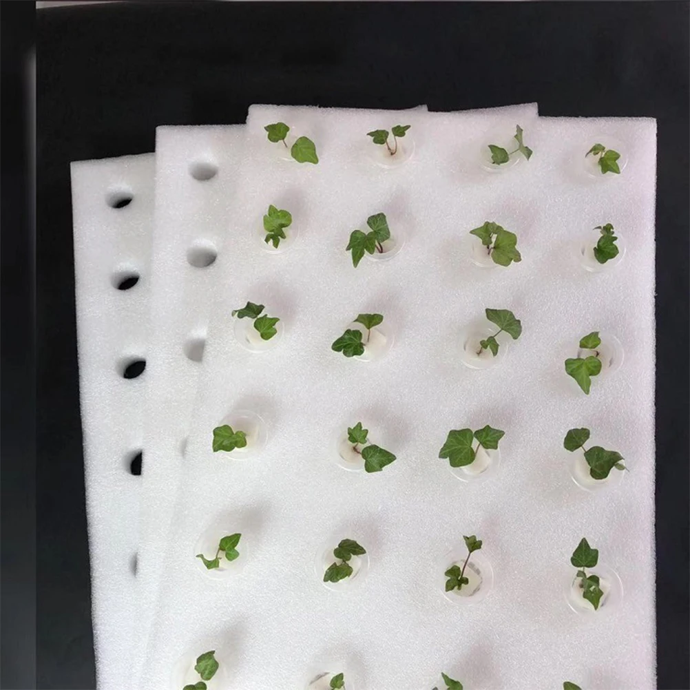 

32mm Soilless Cultivation Sponge Set Hydroponic Planting Tray Veggie Growing Floating Mesh Cylinder Greenhouse Tool Kit