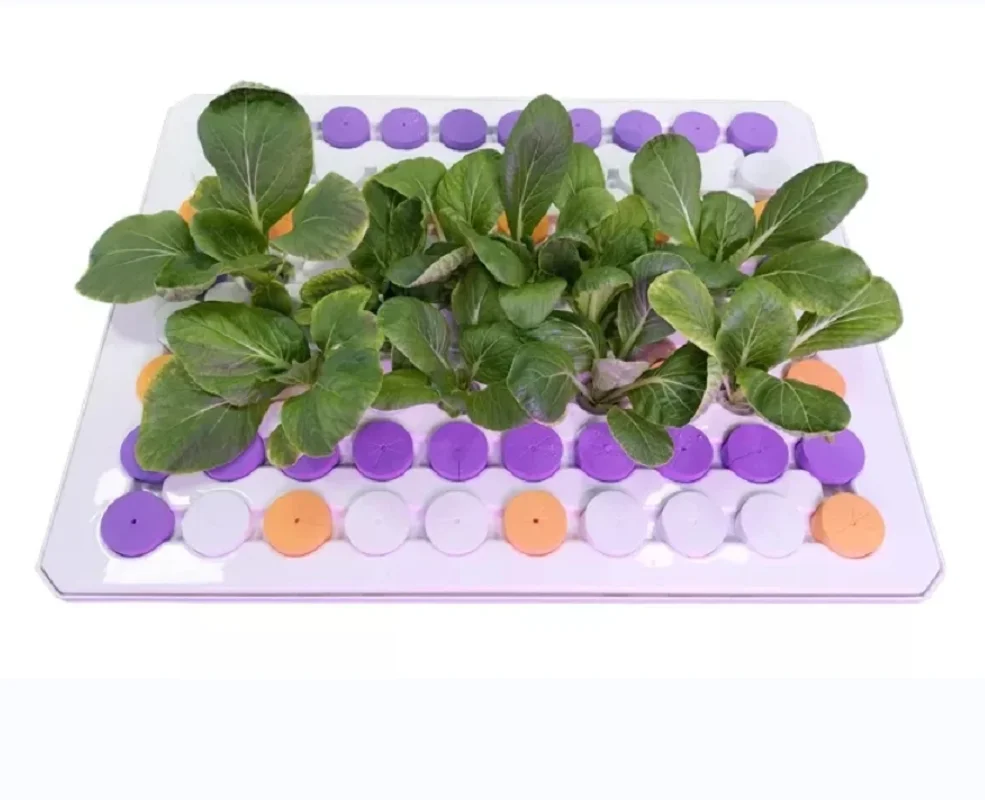 Sistema idroponico Home Garden verdura idroponica Clone Tray ABS Nursery Pot Aeroponic Seed Planting Tray con sistema di spruzzatura