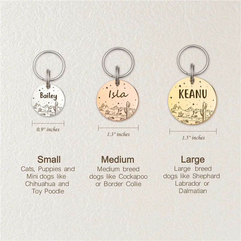 Personalized Cat Dog ID Tag Desert Stars with Cute Cactus Engraved Front and Back for Custom Pets Collar Anti-Lost Metal Charm