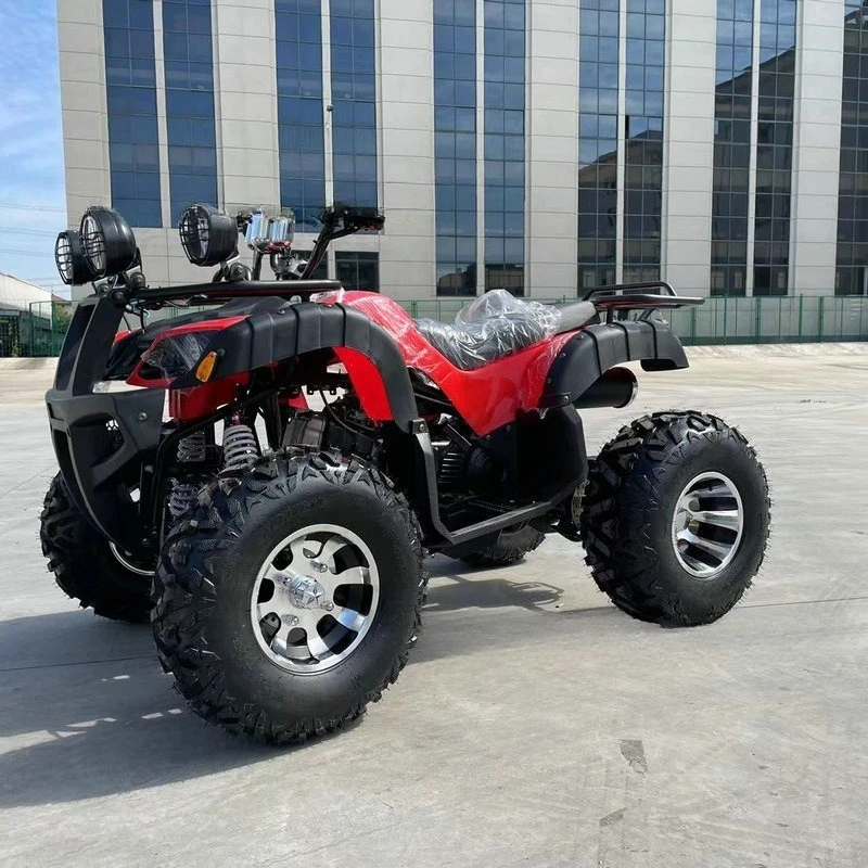 Track race limitless balance axle safety frame shockproof four-wheel beach off-road vehicle