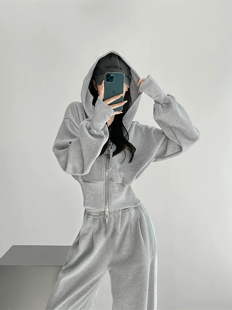 

Spring Autumn Loose Slimming Student Casual Two-Piece Set Fashionable Korean Style Sportswear Women's Zipper Hooded Long Slee...