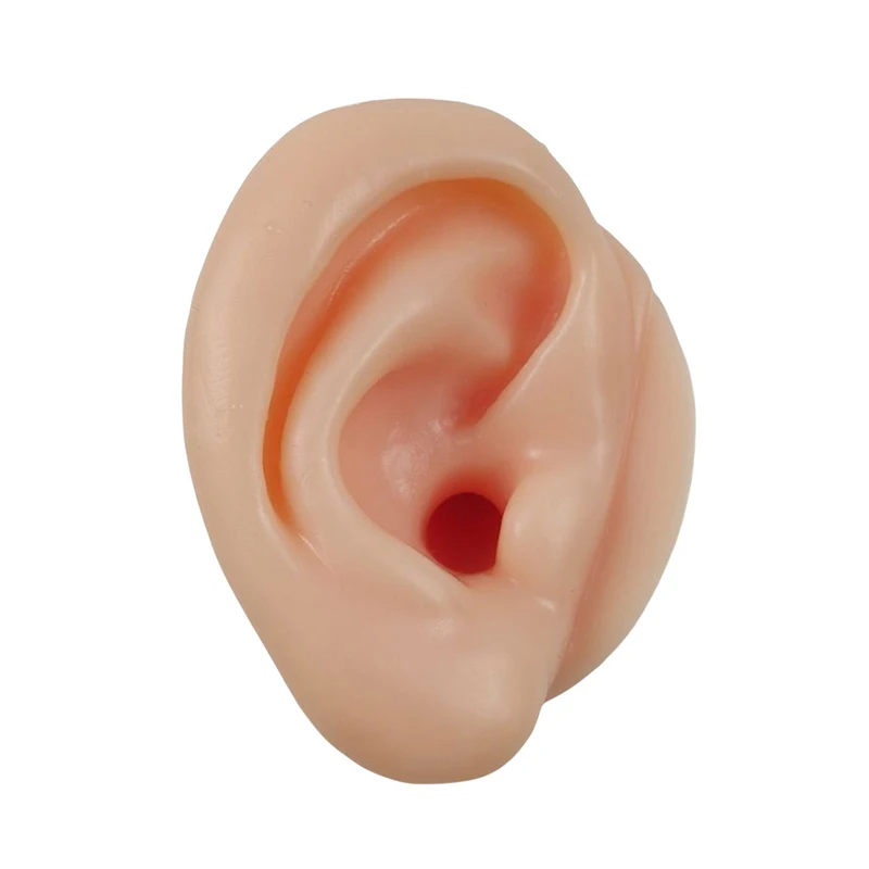 1/2Pcs Ear Model Ear Picking Model Teaching Dedicated Long Ear Canal Simulation Silicone Deep Ear Canal Ear Picking Practice