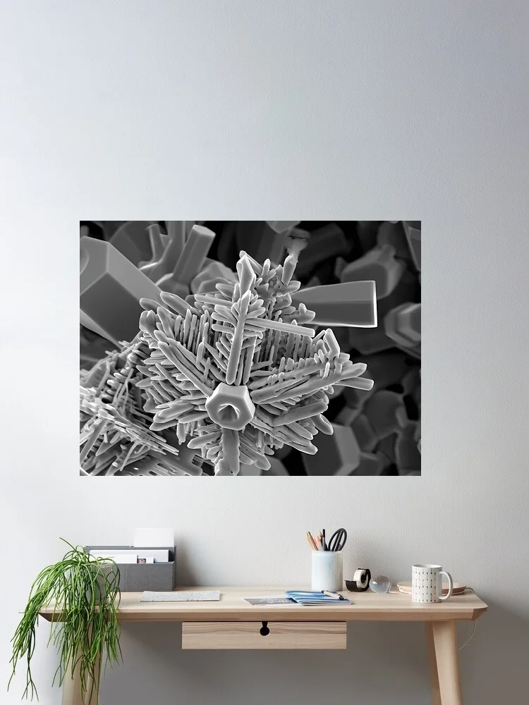 

Snowflake under Scanning Electron Microscope Art Photo, Art Print Canvas Poster, Living Room Decor, Home Wall Picture