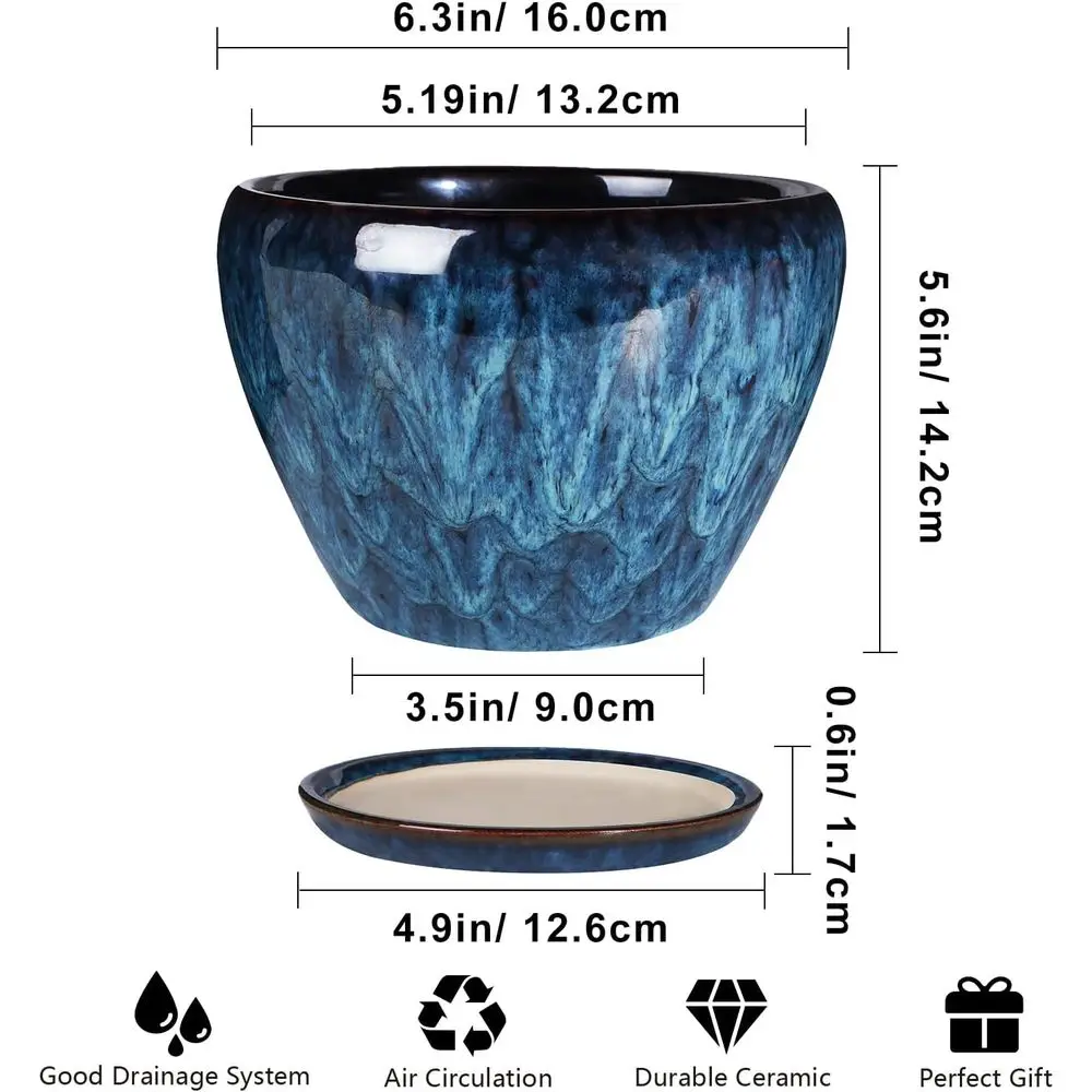 6 Inch Round Glazed Succulent Planter Pot with Drainage and Saucer for Indoor or Outdoor Use