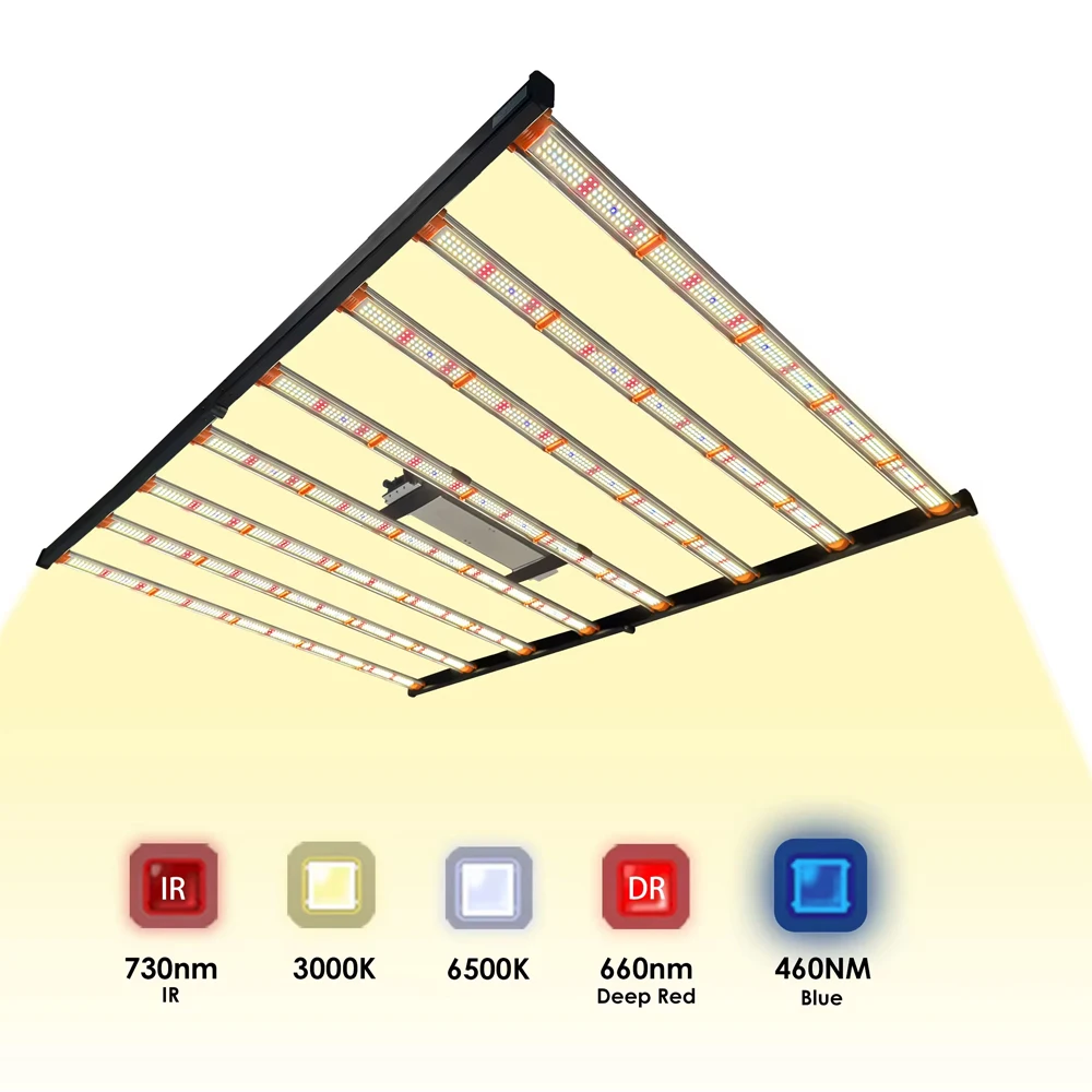 2024 Nieuwste Phytolamp 800W 1000W Led Grow Light Full Spectrum Uv/Ir Voor 5x5ft Indoor Groeiende Commerciële Hydrocultuur Groeiende Lamp