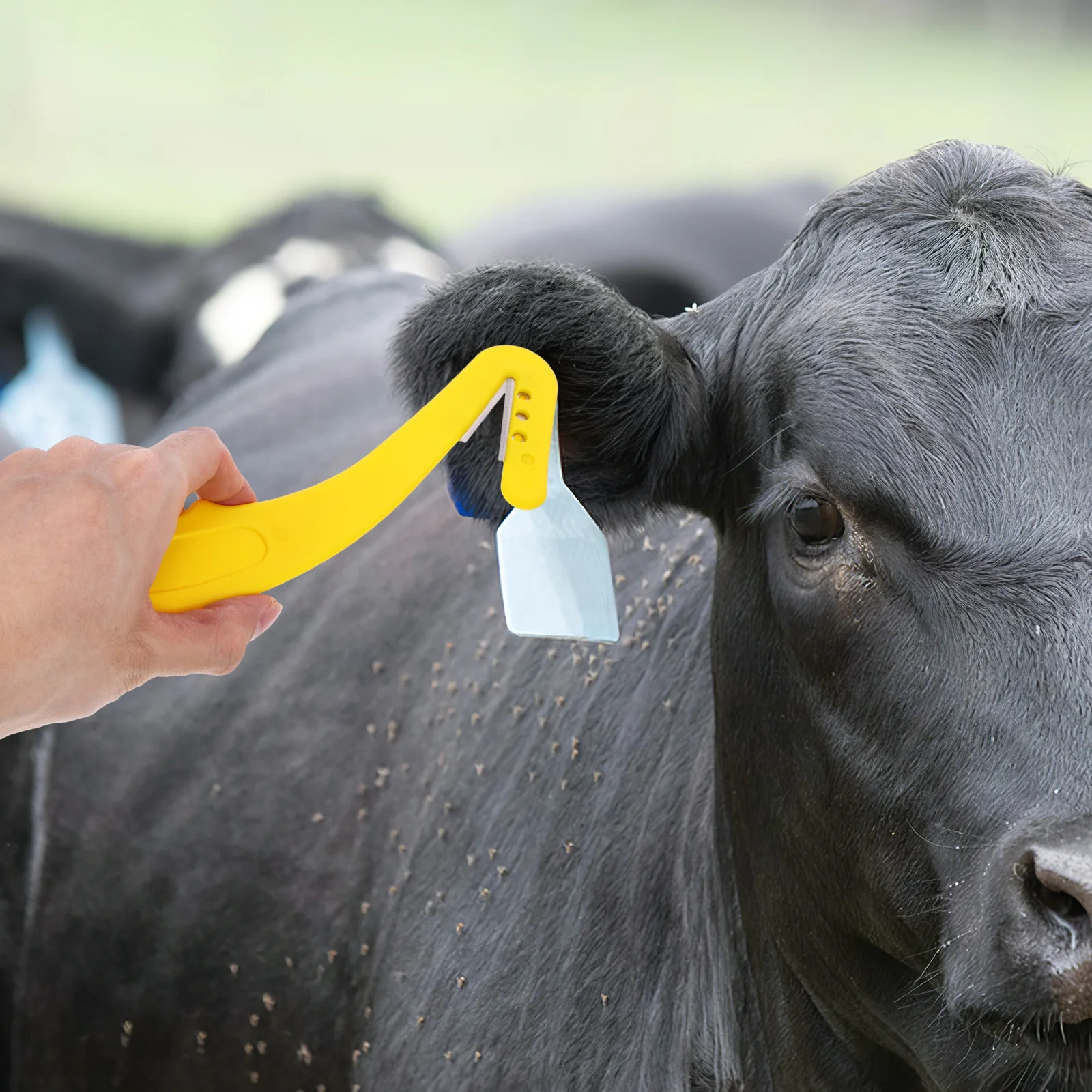 

Livestock Ear Tag Remover Professional Sharp Cutter Ear Tag Removal Tool for Cattle Goat Sheep Pig Multipurpose