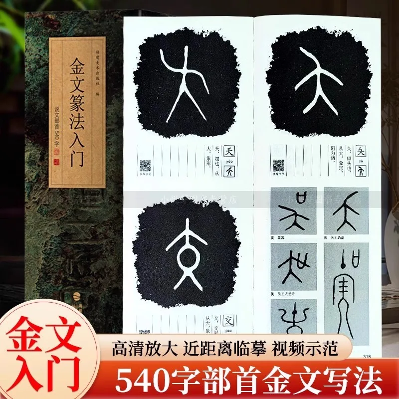 

Книга по каллиграфии китайского бронзового письма (Jin Wen): руководство для начинающих, чтобы обучение сценарию печати для начинающих студентов и взрослых