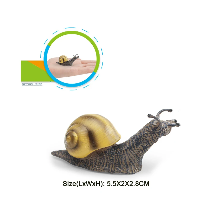 Realistischer Lebenszyklus einer Schnecke, Modellfigur, Schneckenfigur, Partyzubehör, Kuchendeckel, Tischdekoration, Sammlungsspielzeug