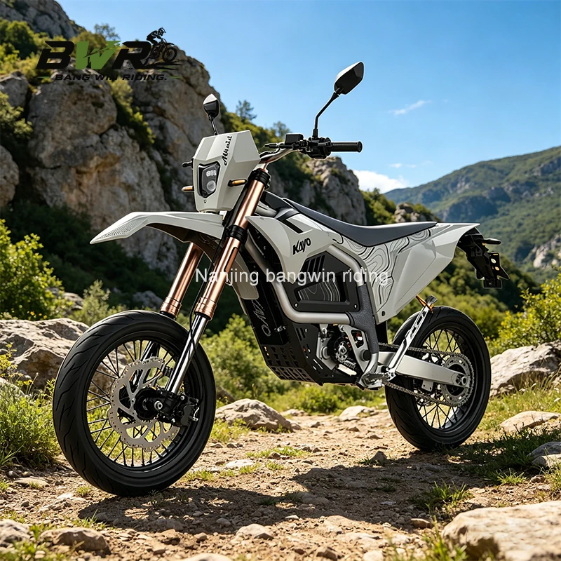 Alkaid EC2 Battery Management System (BMS) Module for Off-Road Electric Motorcycles and Energy Storage