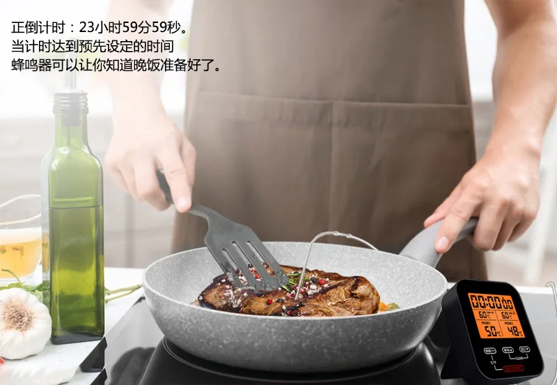 Double needle grill cooking BBQ thermometer