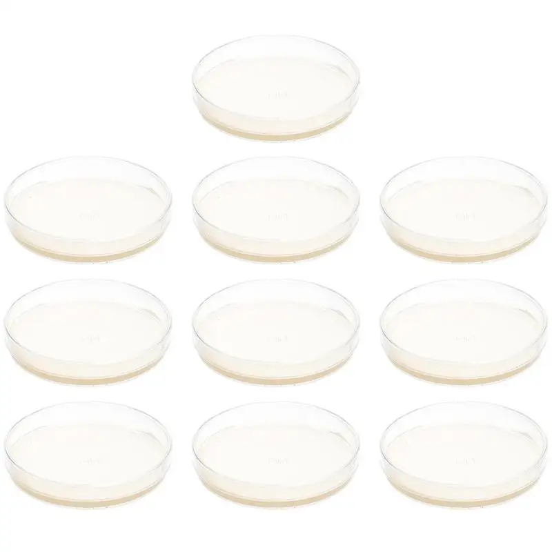 10pcs Prepoured Agar Plates Petri Dishes with Agar Science Experiment Science Projects  Petri Plates Laboratory Supplies