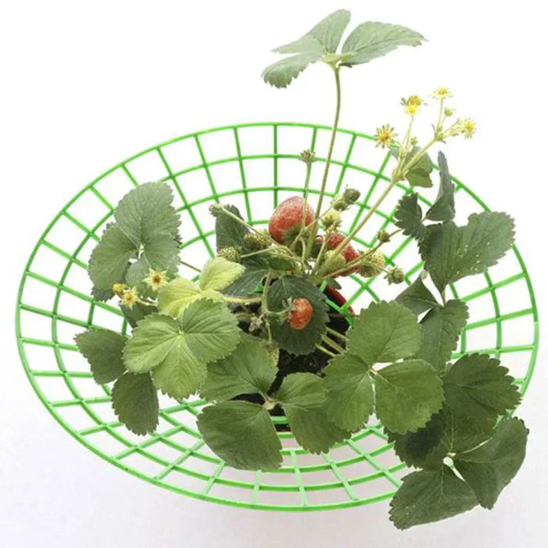 

4pcs Strawberry Planting Rack Climb Stand For Strawberries Vertical Support Trellis For Balcony Detachable Plastic Growing Frame