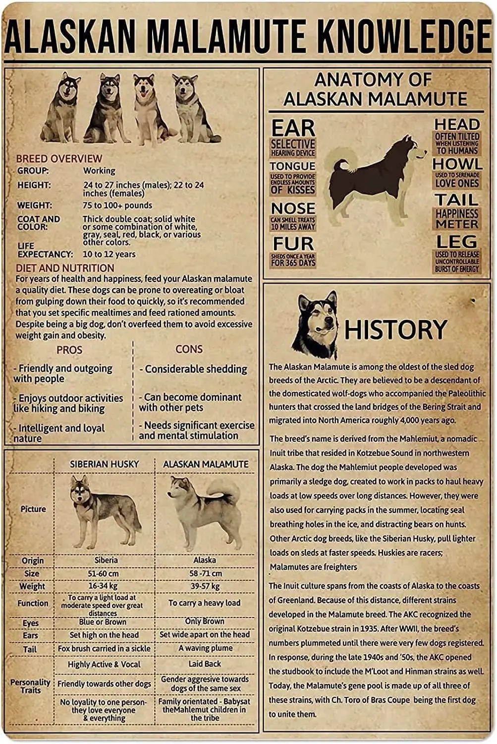 Haosensix Alaskan Malamute Knowledge Metal Signs Vintage Room Decor Anatomical History Retro Printing Posters Home Club Cla sign