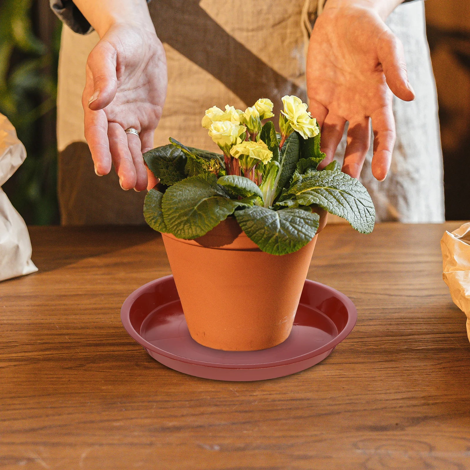 

4pcs Flower Pot Tray Durable Heat Resistant Plant Saucer Small Plastic Garden Supplies Protect Surface Moisture Succulent Red