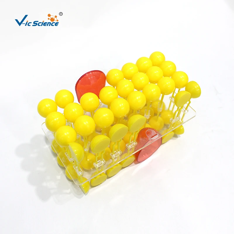 Modello di flusso della membrana cellulare