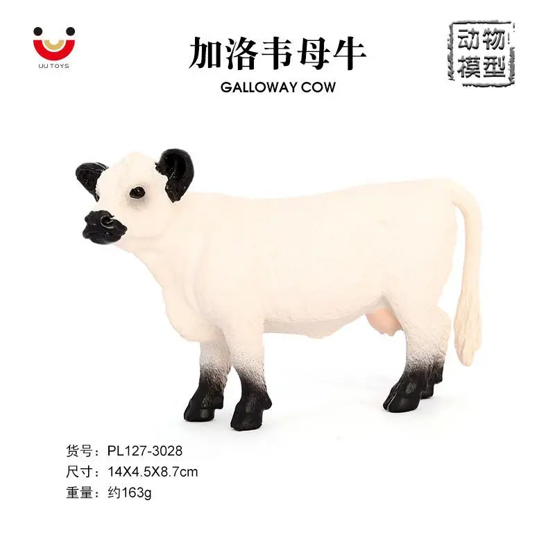 simulated wild cow solid animal model, Galloway cow, dairy cow, children's plastic toy ornament