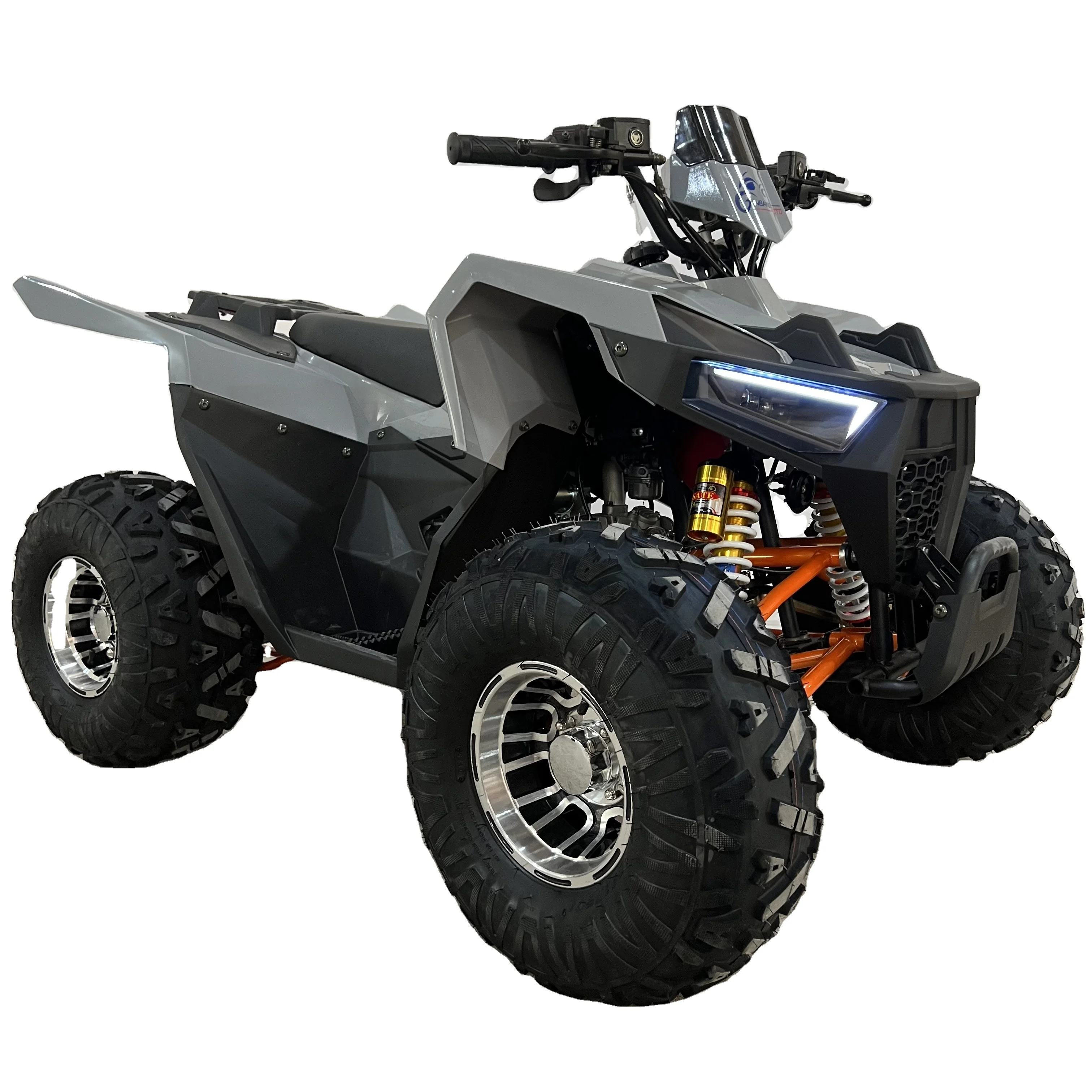 Hot Sale High Quality 125cc ATV for Adults New 2WD 4 Stroke Engine CE Certified EEC Approved