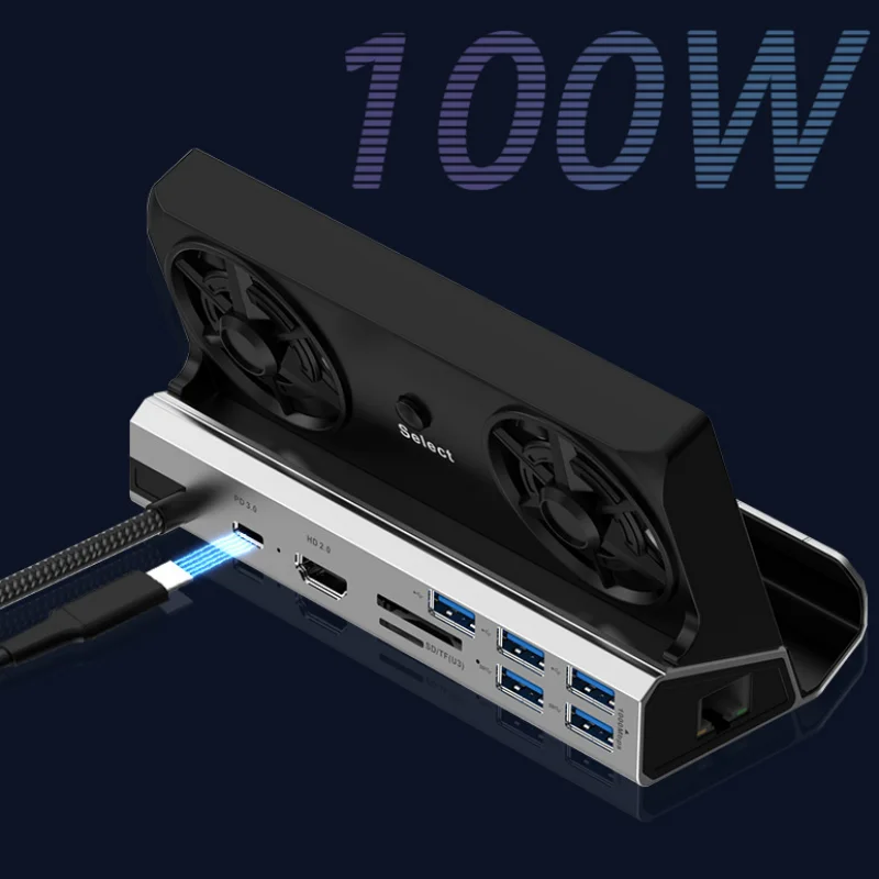 10 in 1 Docking Station for Steam Deck/ROG Ally USB C Dock with HDMI 4K UHD 100Mbps RJ45 Ethernet 3 USB 2.0 and PD 100W