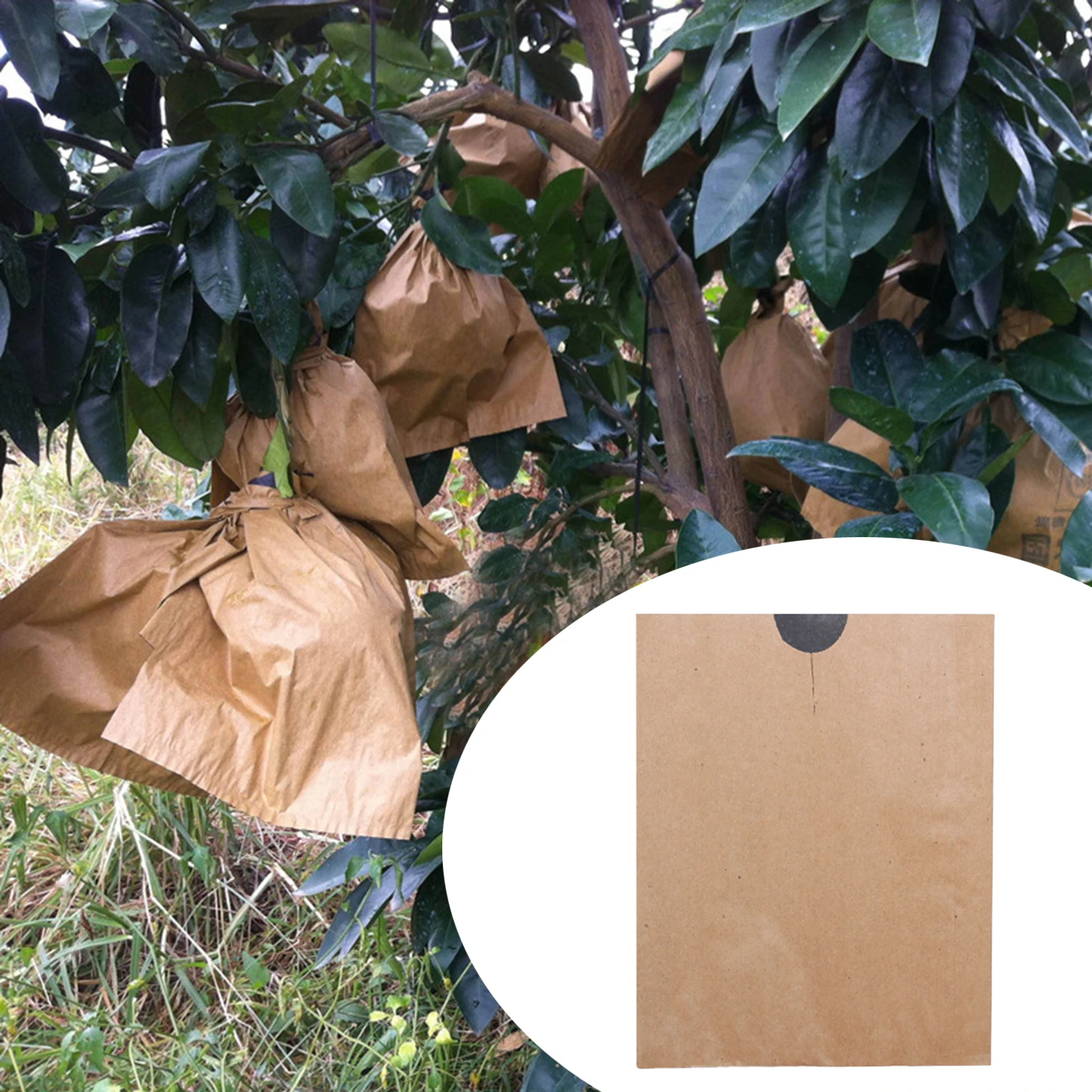 100Pcs Garden Vegetable Grapes Bags Anti Bird Prevention Protection Pulp Paper Reusable Fruit Care Bag Gardening Supplies