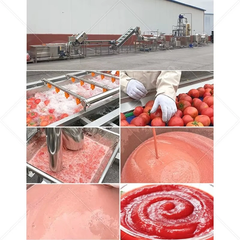 Industrial Tomato Puree Ketchup Paste Production Line Making Machine Commercial Sale Support Custom