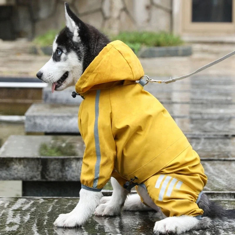 Dog Jackets Bright Color Kitten Waterproof Coat Kitten Winter Warm Clothes