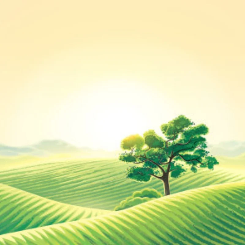 أجزاء ترقية معدنية دعامة تثبيت مؤازرة لـ MN99 mn98 MN99S D90 #1