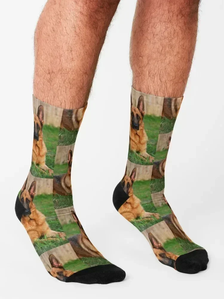 صورة كلب الراعي الألماني-فورست الجوارب الرجالية المجنونة هدية رجل الصبي الجوارب النسائية مجموعة هدايا الأزهار السيدات الجوارب الرجال #3