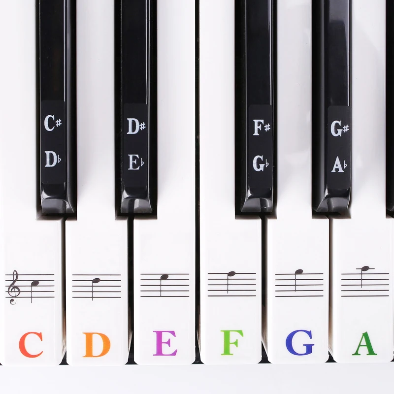 Piano Keyboard Stickers 88 Keys 61 Keys Music Notes Labels for Beginners PVC Transparent Piano Key Labels Piano Notes Guide