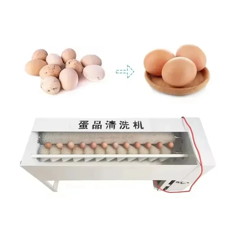 Hot Sales Food Processing Brush Machine Automatic Egg Washing Machine