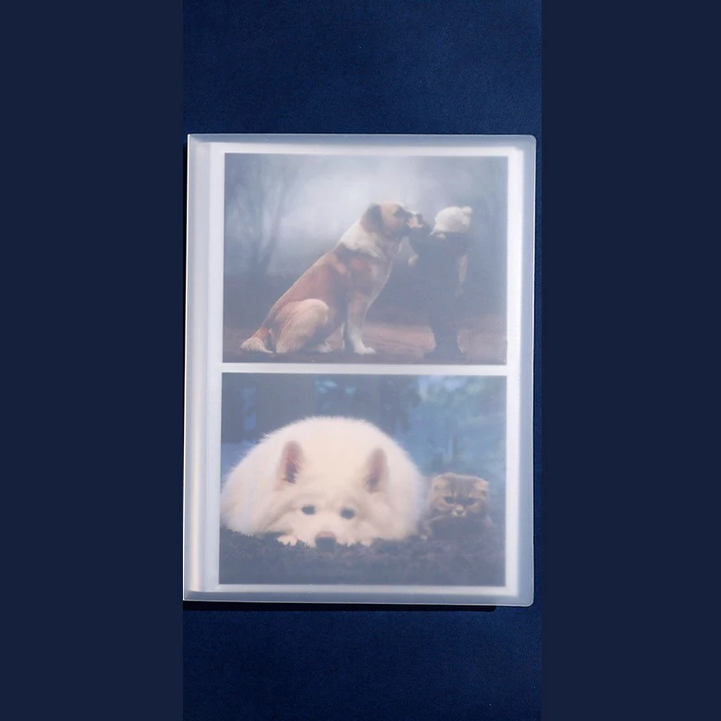 Translucent Frosted PP Material Insert Style Photo Album Couple Photo Commemorative Album Family Portraits Storage Photo Album