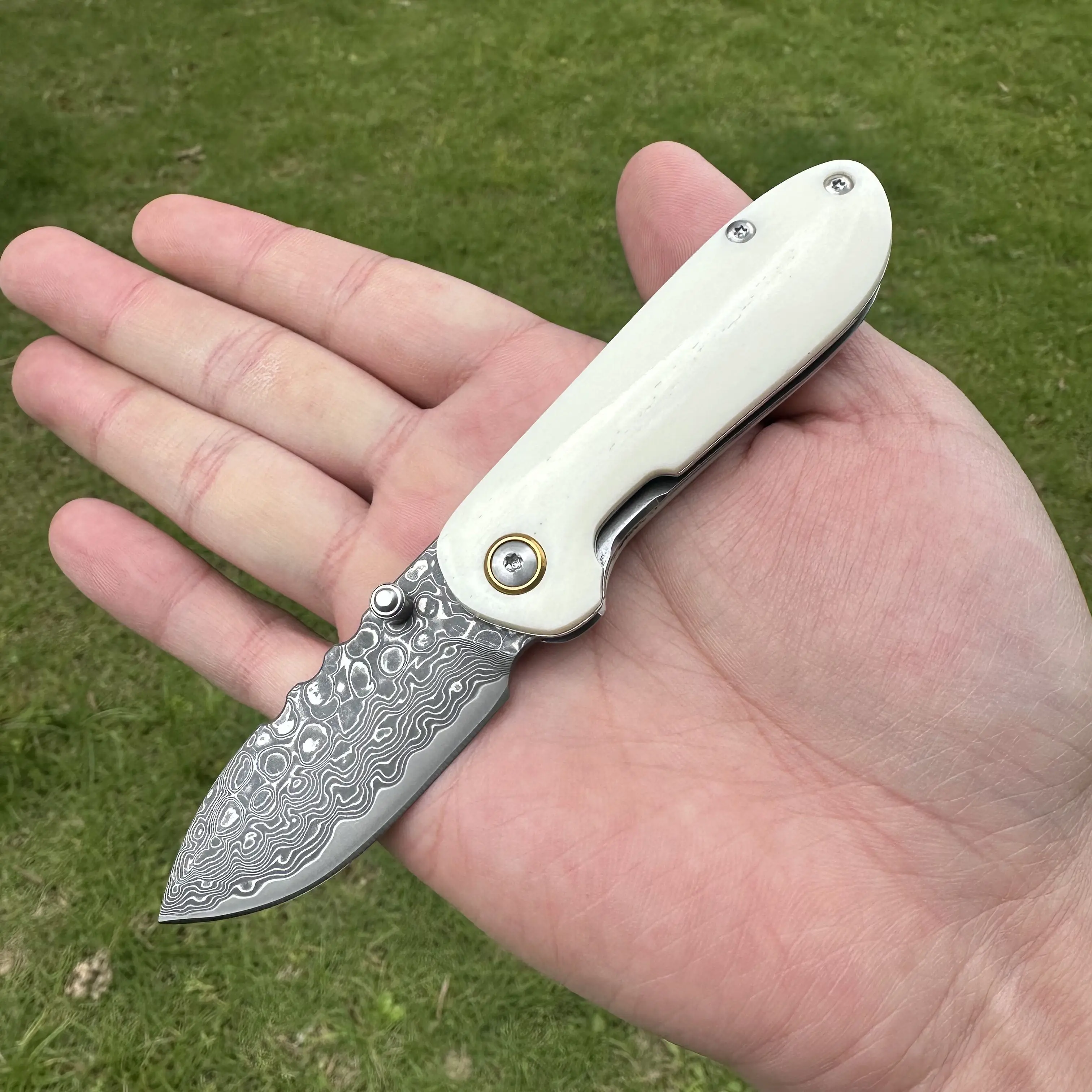 Topwell Master Handmade LK036 Mini Pocket Knife Real Damascus Blade Natural OX Bone Handle Portable EDC Tool Perfect Gift