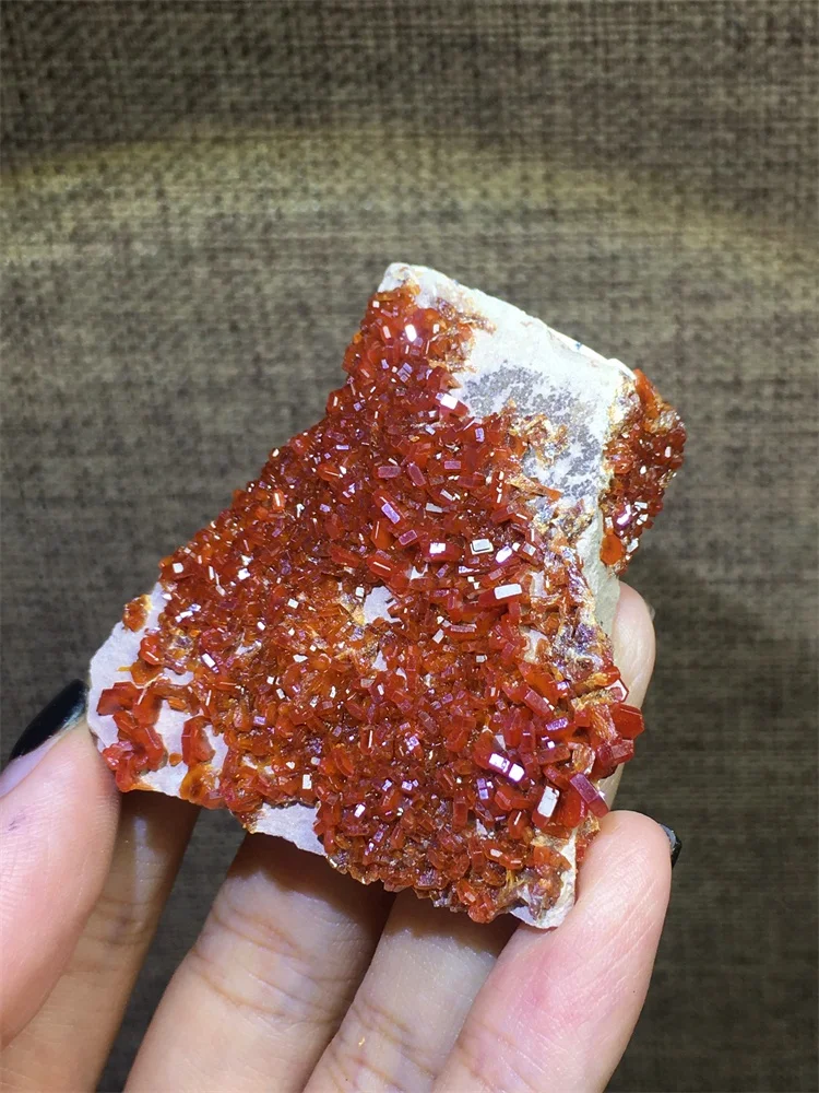 

l Образец минерального кристалла, индная свинцовая руда, грубая геология, обучающий дисплей, нечетный орнамент, электронный научный образец