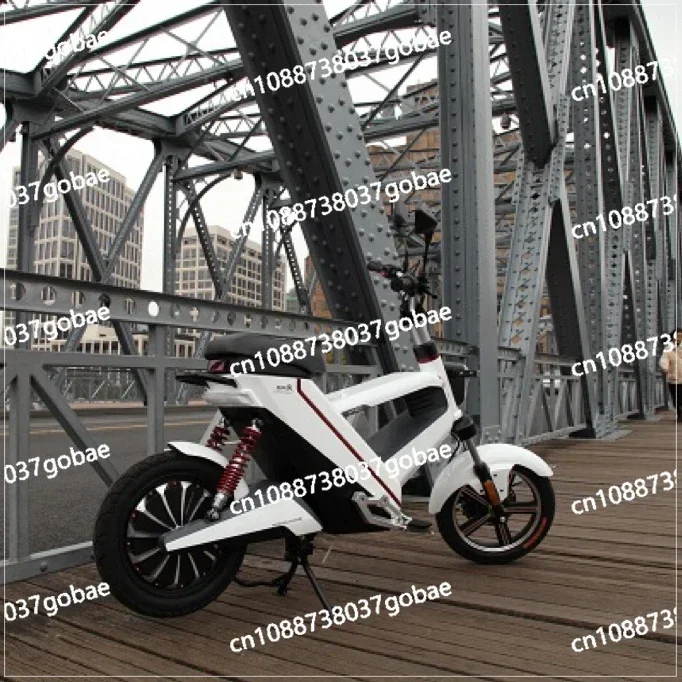 Environmental Protection Hydrogen Fuel Cell  Energy Electric Bicycle/motorcycle