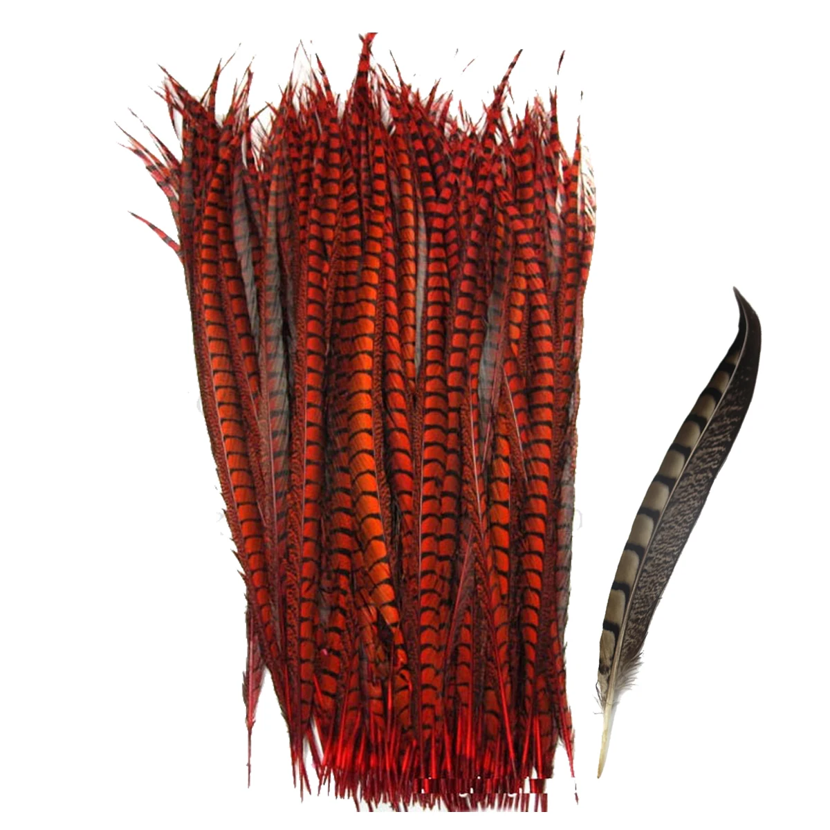 ZPDECOR 70-120cm/28-48 Inch Lady pheasant Feathers 100 pieces per pack for DIY Feather Handicrafts