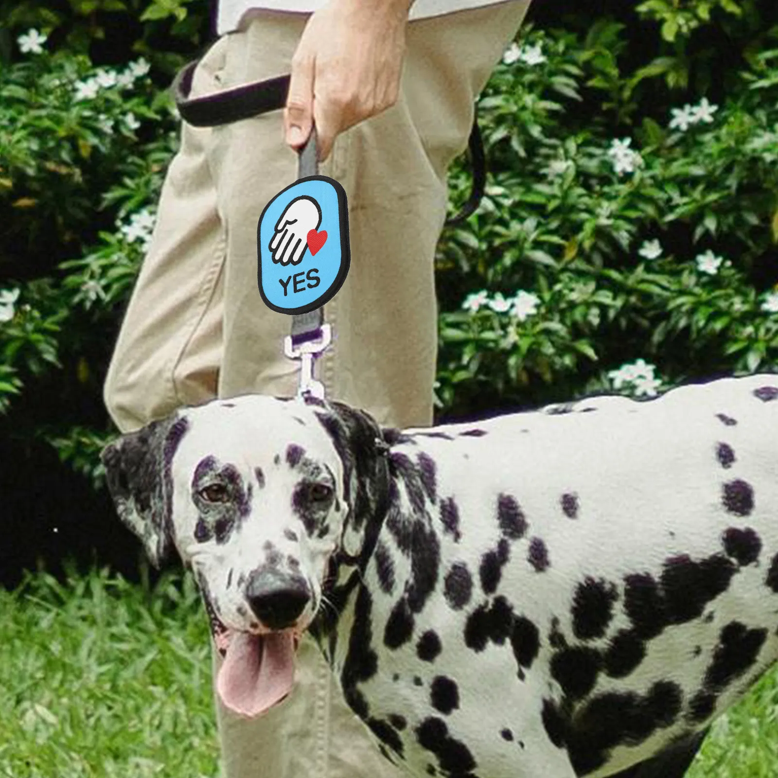 Pet Leash Patch Friendly Notice Sticker for Dogs Cats Outdoor Use Warning Label Social Interaction Dog Leash Identification