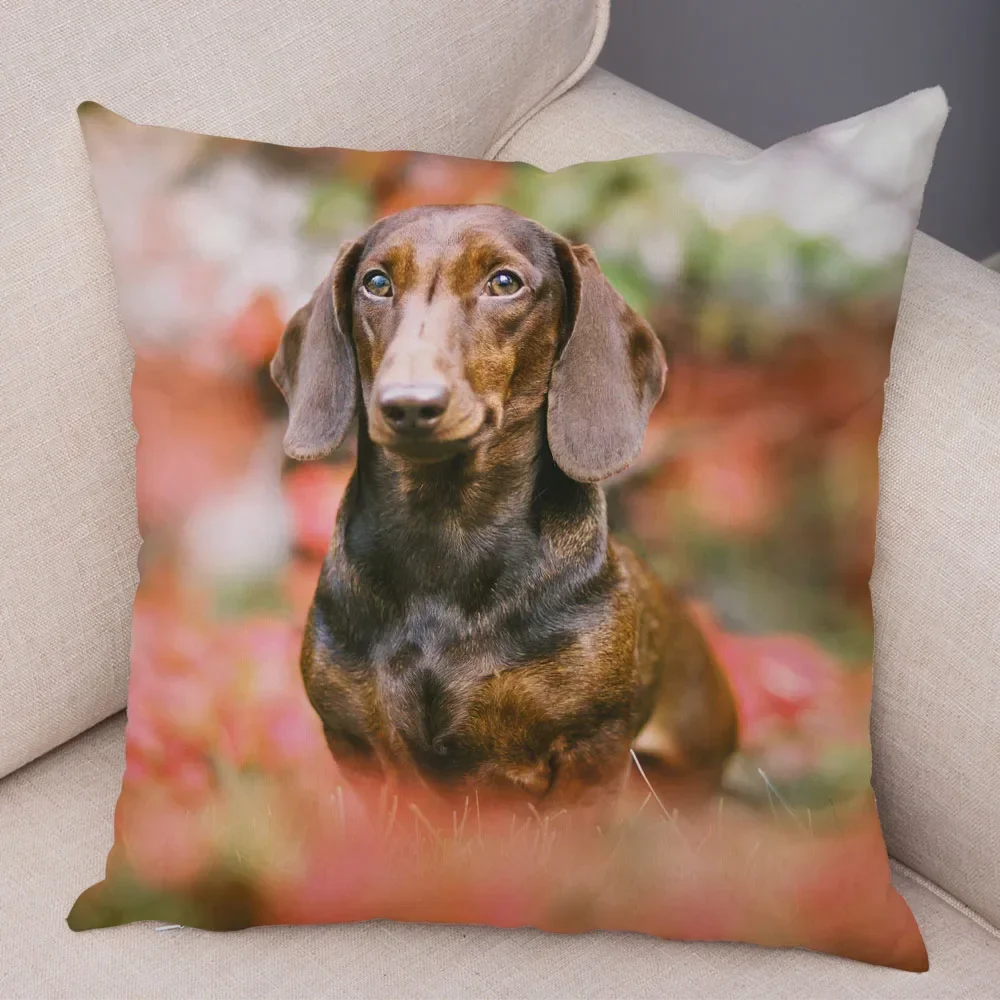 Mini Dachshund Dog throw pillow cover with short plush print for living room decoration cushion cover pillow covers decorative
