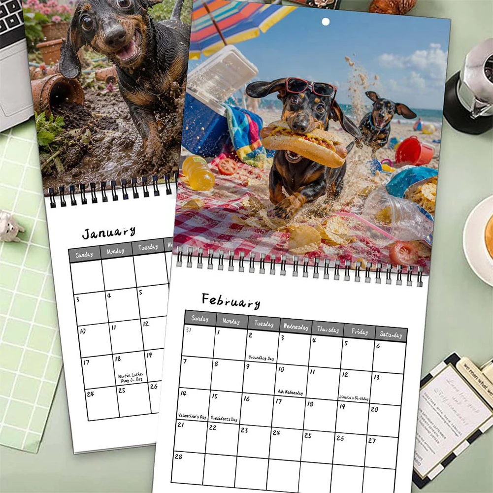 Naughty Dachshunds 2027 Wall Calendar Wiener Dog Themed Office Decor Humorous Desk Decoration Easy To Hang Gift For Enthusiasts