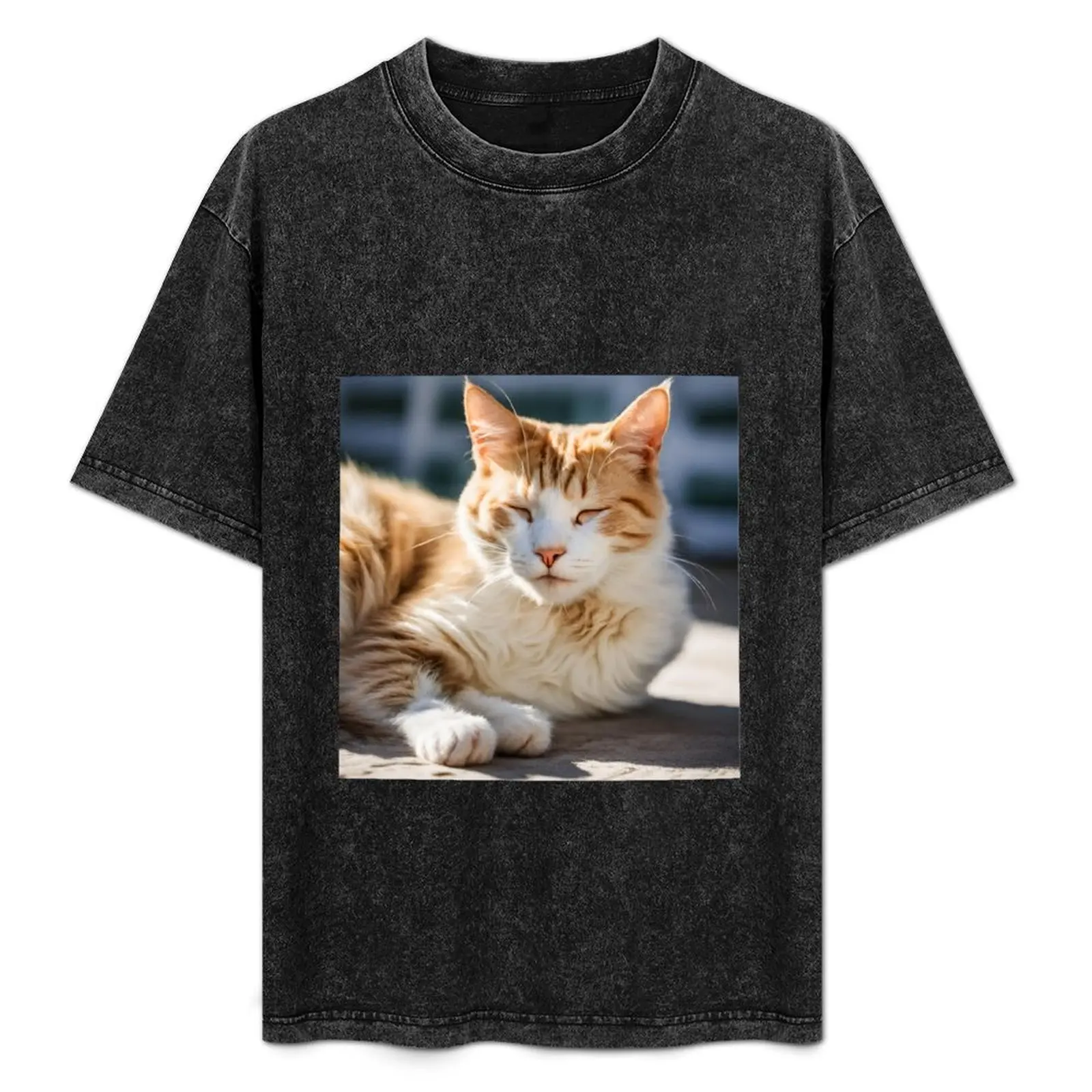 

A cat relaxing in the sun T-Shirt summer tops summer shirt funny costumes shirts graphic tee mens cotton t shirts