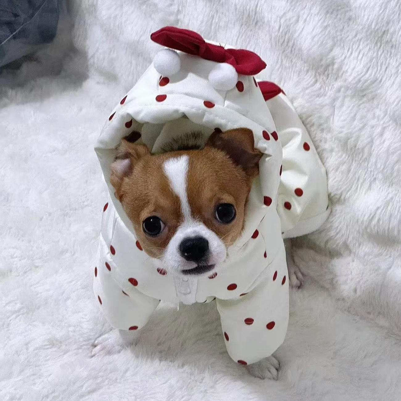 Thumbnail 3 - #20 Trending Puppy Coats Right Now