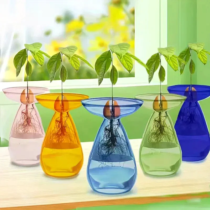 Colorful Transparent Avocado Hydroponic Vase Glass Seed Starter Plant Growing Kit Gardening Lovers Home Decor No Crack Clear
