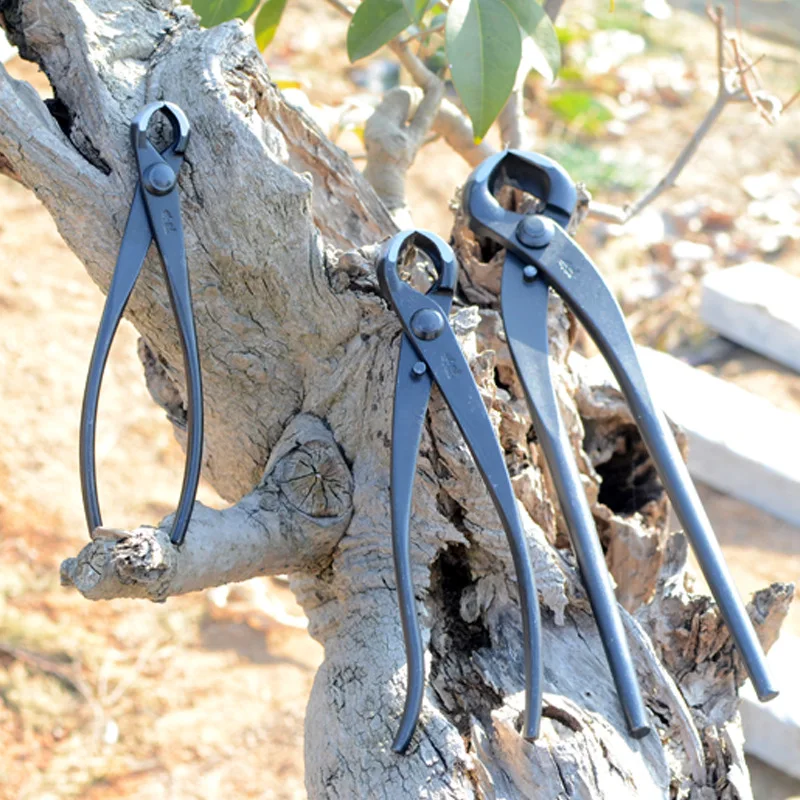 Coupe Bonsaï à Bord Concave de 210mm, Pince Coupante pour Racines, Paysage, Marijuana, Arbre, Bruches, Ciseaux, Outils de Jardin