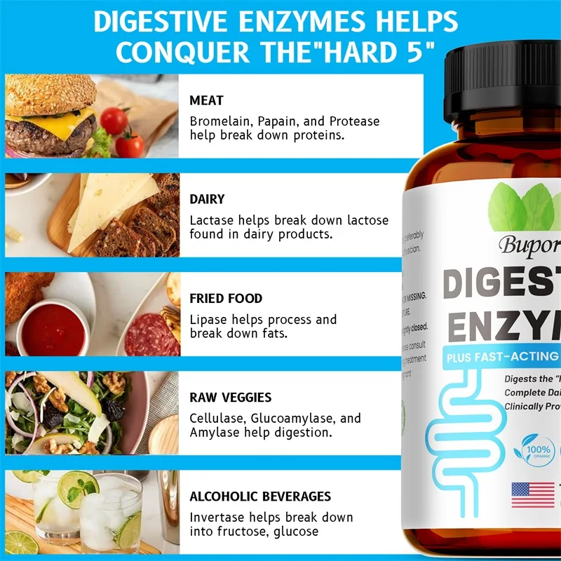 Supplément d'enzymes digestives – Digestion et santé intestinale pour adultes, hommes et femmes, favorise l'absorption des nutriments