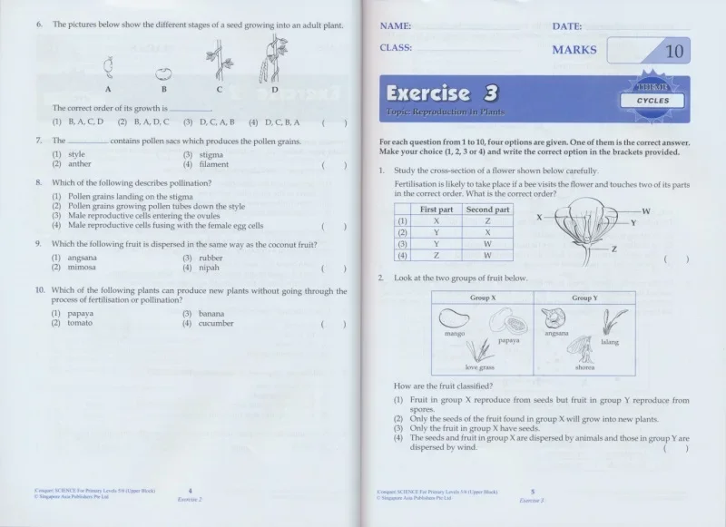 8 volúmenes de libros de texto de inglés SAP Learning/conquering Science, escuela primaria, grados 1-6, versión de mejora básica de libros de texto en inglés