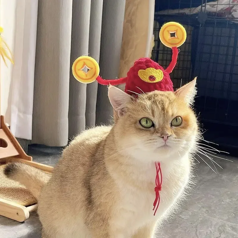 Pet hat cat  cute pet Spring Festival decoration God of Wealth pet doll New Year photo props