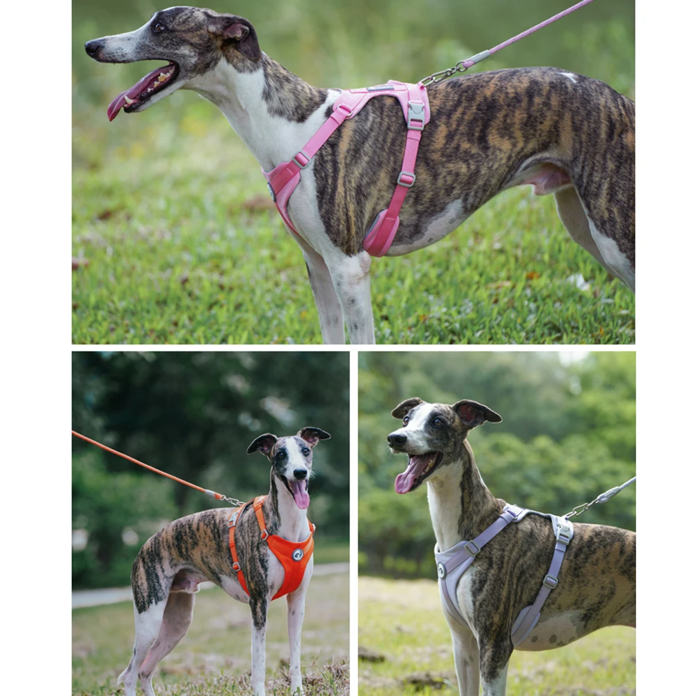 Arnés transpirable sin tirones para perros, chaleco reflectante para perros pequeños y grandes, Collar de plomo para entrenamiento al aire libre,