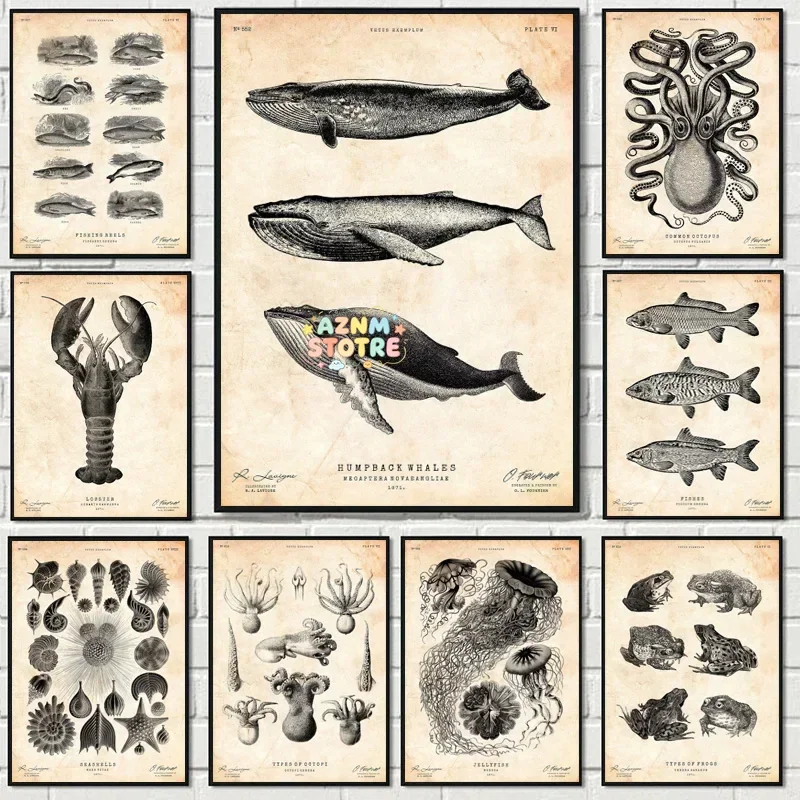 Vintage Sea Life Illustration Aquatic Creature Marine Animals Whale Seashells Poster Canvas Painting Wall Pictures Home Decor